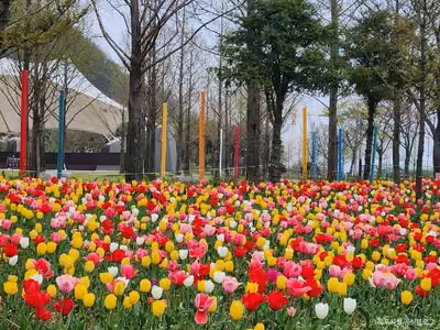 삼학도공원