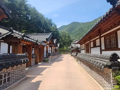 삼척활기자연휴양림