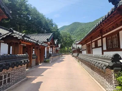 삼척활기자연휴양림