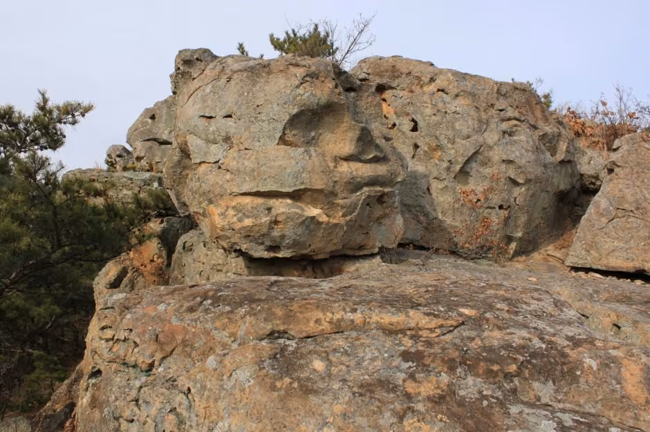 철암산 화석산지 (경북 동해안 국가지질공원)