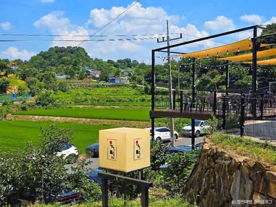 육면