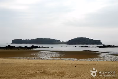 석대도