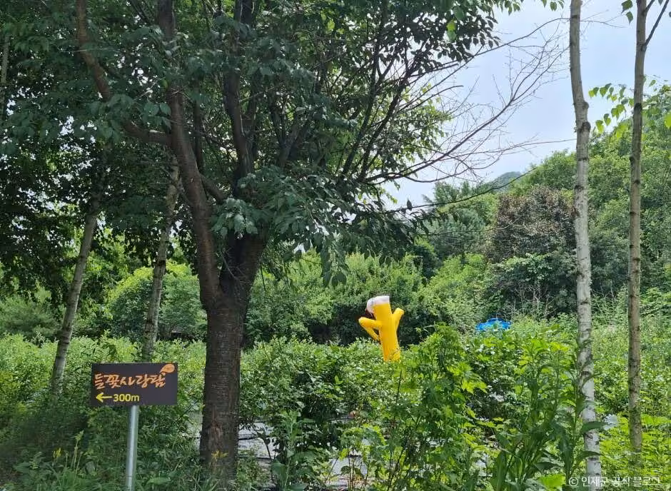 인제 냇강마을