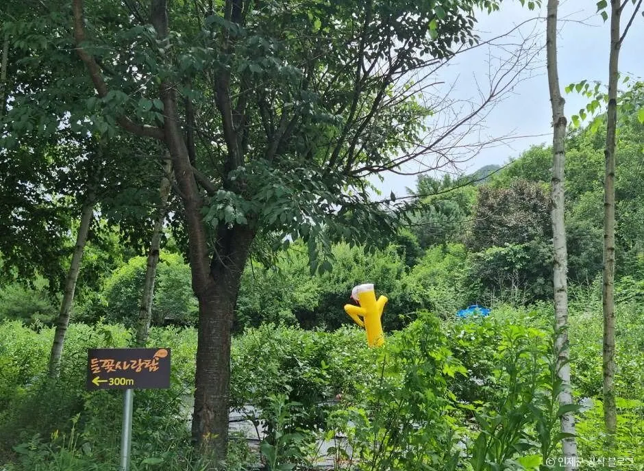 인제 냇강마을