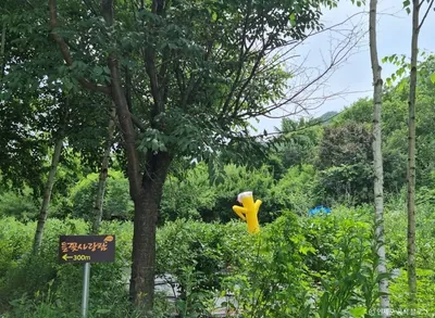 인제 냇강마을