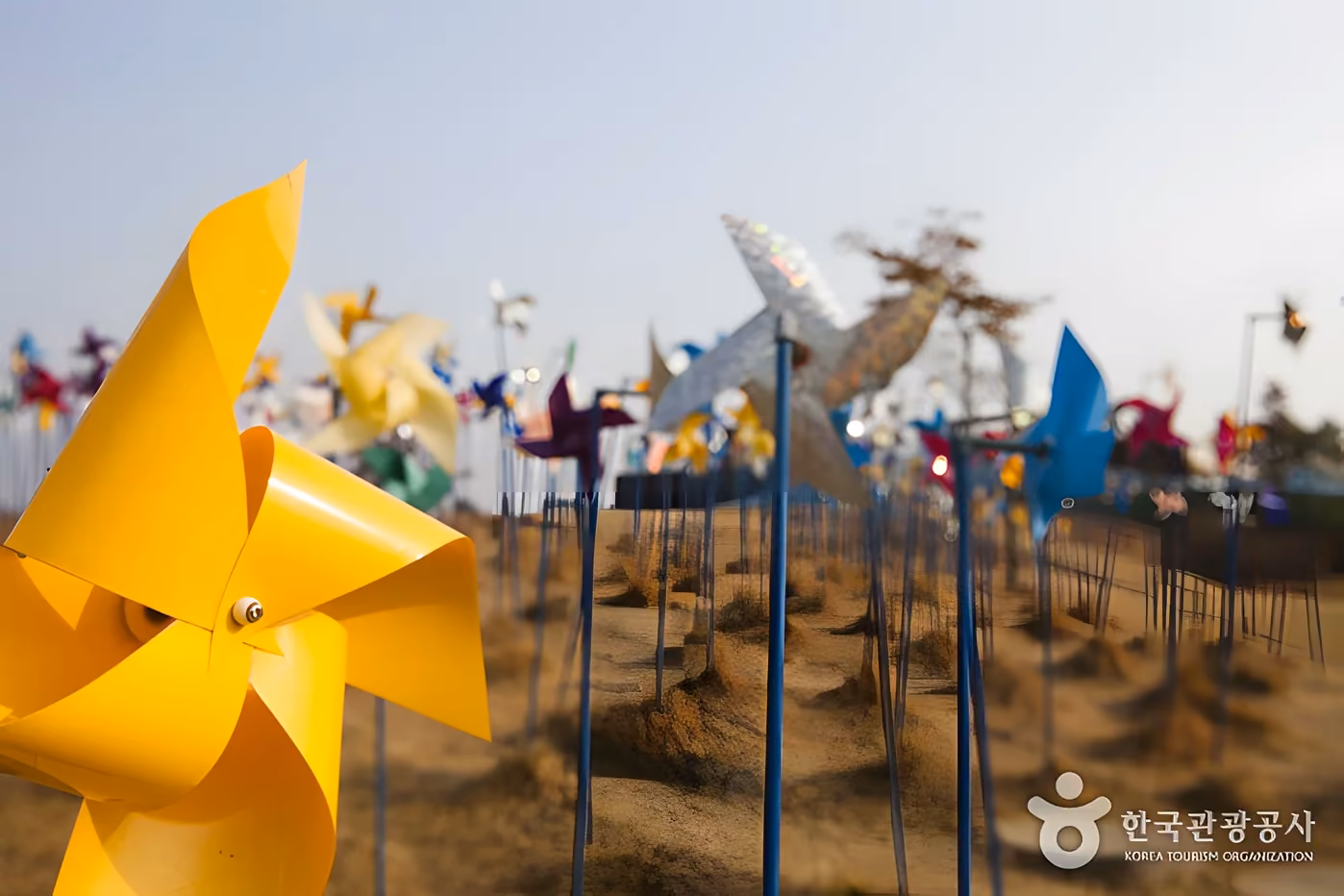 파주 DMZ 곤돌라