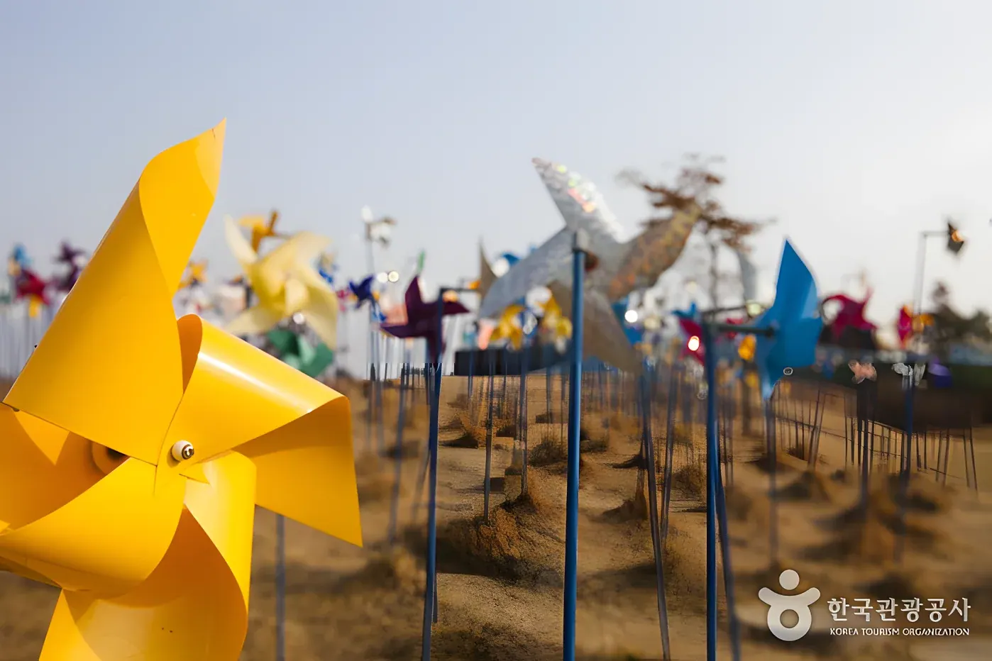 파주 DMZ 곤돌라
