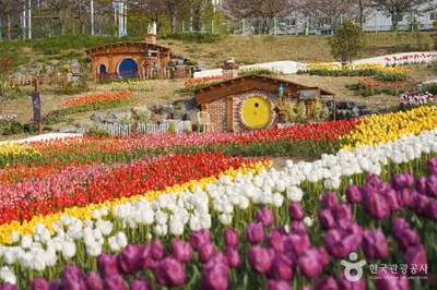 대구 세천늪테마정원