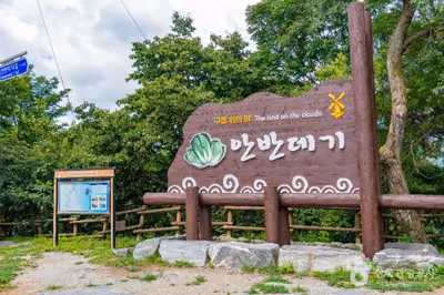 안반데기