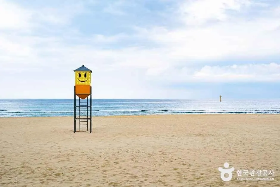 증산해변
