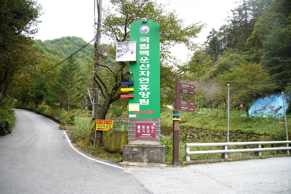 국립 백운산자연휴양림(원주)