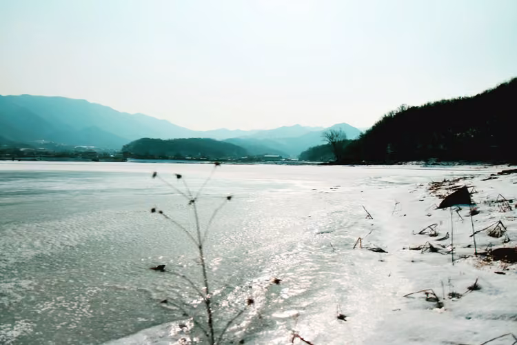 시장저수지(시장지)
