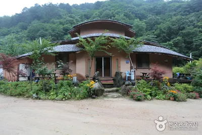 들꽃나라펜션
