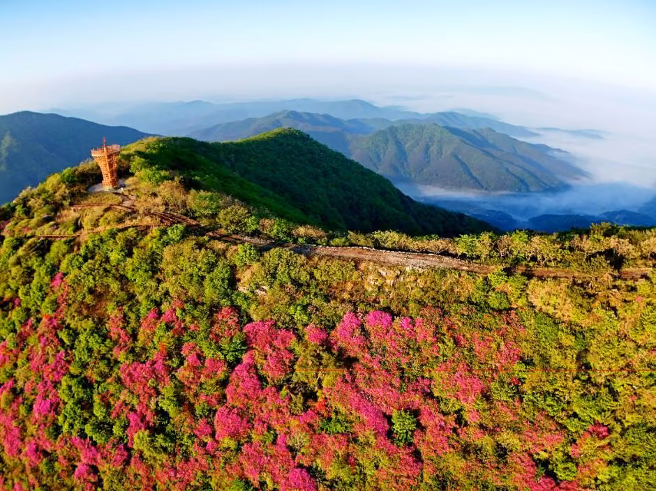 한우산
