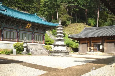 천은사(삼척)