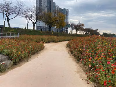 황룡강생태공원