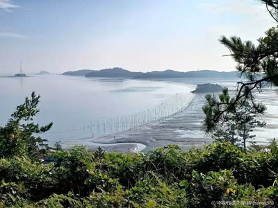 팔금도