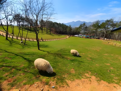 숲소리공원