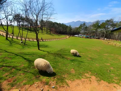 거제도 일상 회복 청춘 투어, 지친 나를 위로하고 치유하는 여행