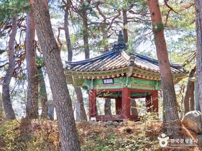 학무정