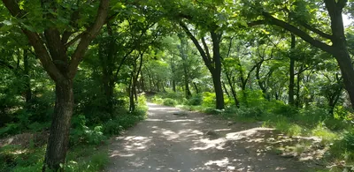 호암산성