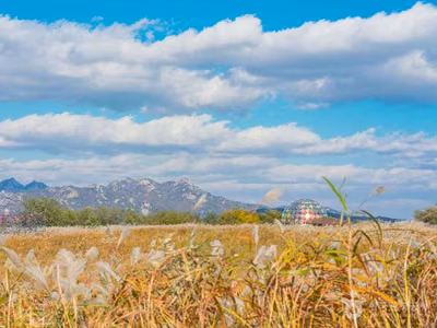 하늘공원