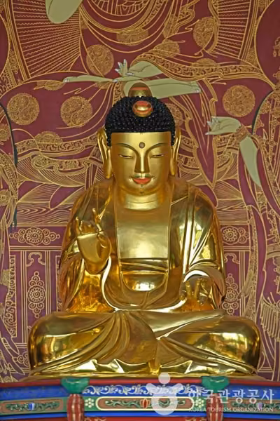 개심사 목조여래좌상과 목조관음보살좌상