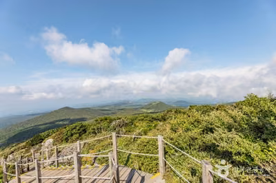 한라산 영실