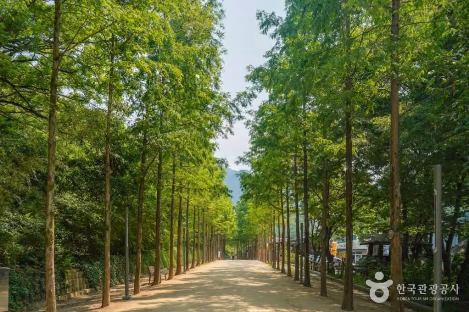 앞산자락길