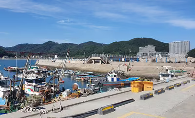 궁농항