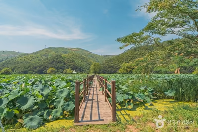 회야댐 생태습지