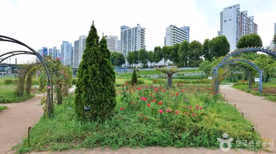 안양천 사계절 테마원