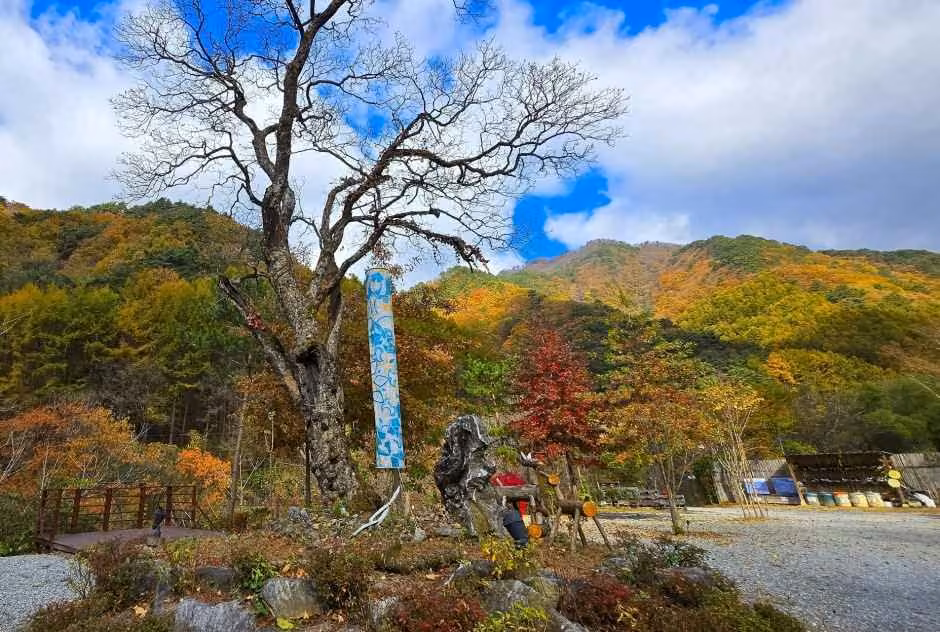 그린필로우