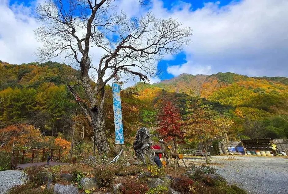 그린필로우