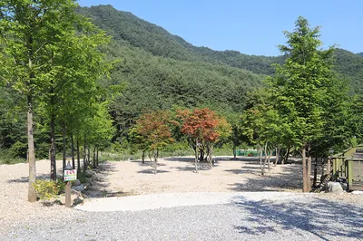 자연이랑캠프