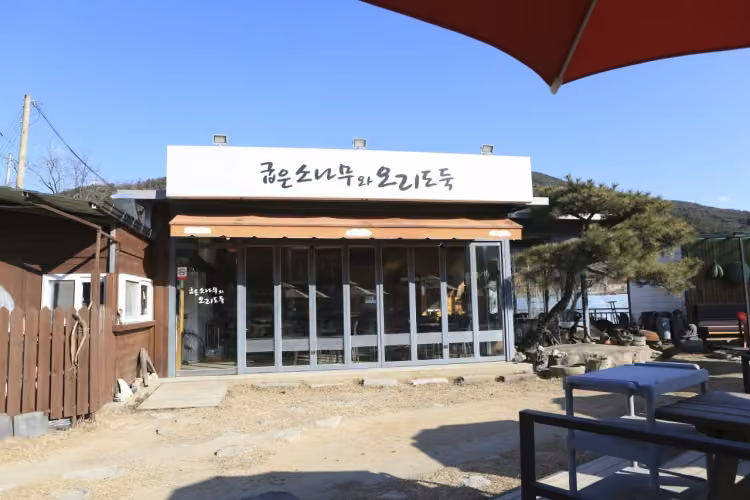 굽은소나무와오리도둑한재미나리