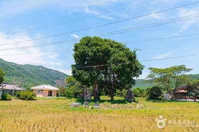 우동리당산