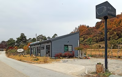 체리테일러