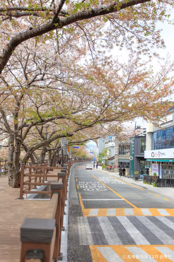 르쎄