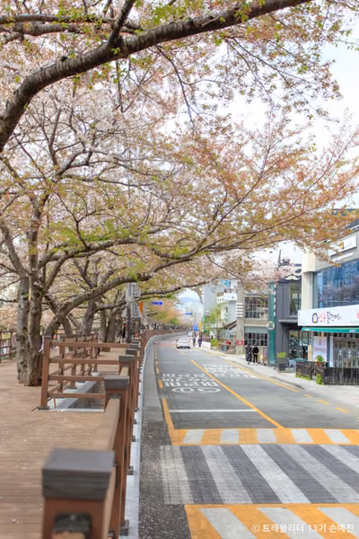 르쎄