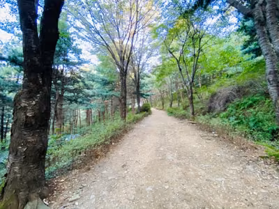 독산성산림욕장