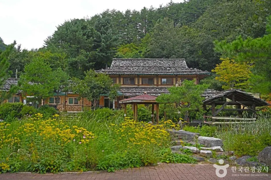 삼척 신리너와마을
