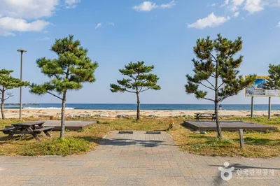 [강원평화누리자전거길 19코스] 고성 통일로 가는길