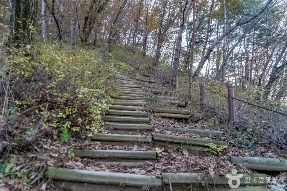 배부른산