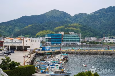 장목항