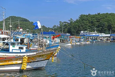 기사문항