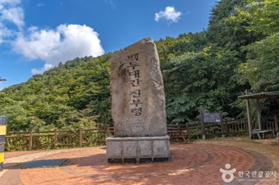 진부령 흘리마을