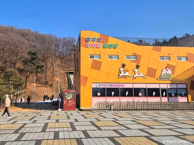 칠곡보사계절썰매장
