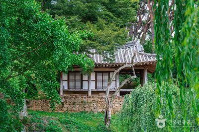[무등산 옛길 3구간] 장원삼거리-환벽당