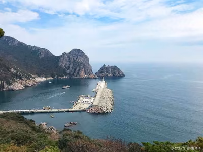 홍도